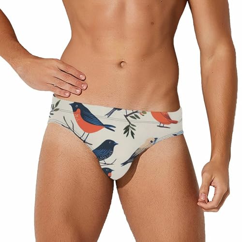 Colorful Birds Mens Swim Briefs Bikini Sexy Low Rise Trunks Swimsuit Bathing Suit Beach