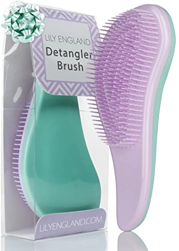 Cheveux Démêlante Superbe Qualité Salon Coiffure - La Meilleure Brosse pour les Cheveux Fins, Épais, Bouclés, Secs et Humides et les Enfants, le Cadeau Idéale - Lilas vert - Lily England Cover
