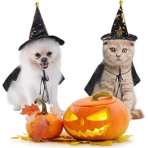 Disfraz de Halloween para perro con sombrero de brujas Cover