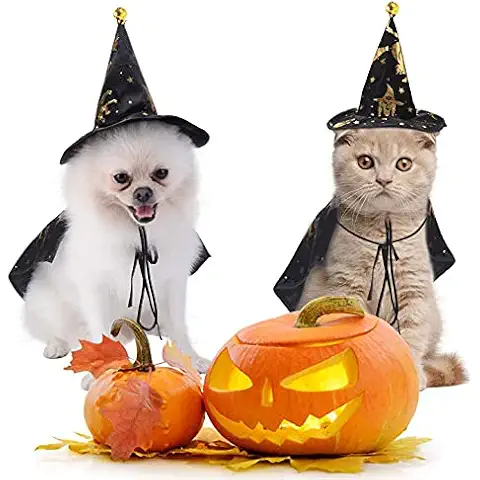 Disfraz de Halloween para perro con sombrero de brujas Cover