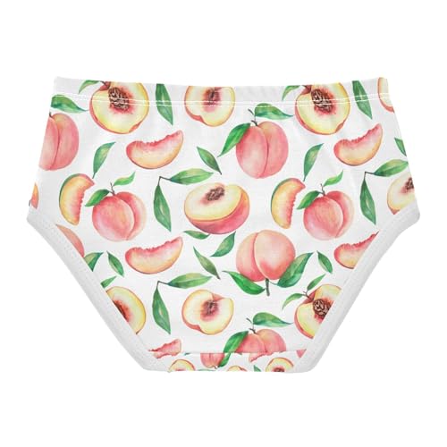 Watercolor Peaches Toddler Girls's Underwear 2T 202c14052