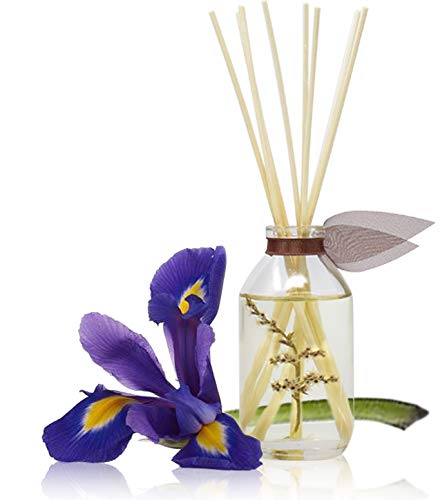 LOVSPA Cashmere Woods Reed Diffuser Oil Set with Amber Mimosa, Vanilla Musk & Apricot Nectar, Made in The USA