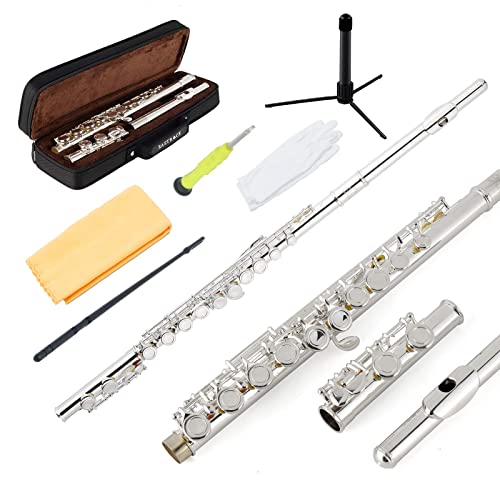 EastRock Flute Silver Closed Hole C 16 Key Flute Musical Instrument with Carrying Case Stand Gloves Cleaning Cloth and Rod for Beginner Kids Student(Sliver)