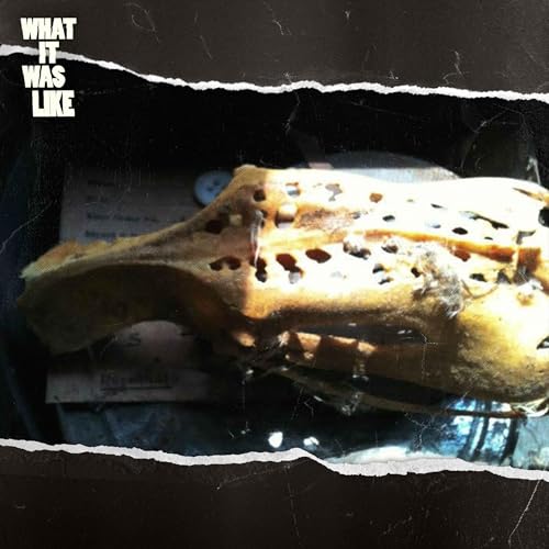 What We Found Hidden in our Walls Podcast Por arte de portada