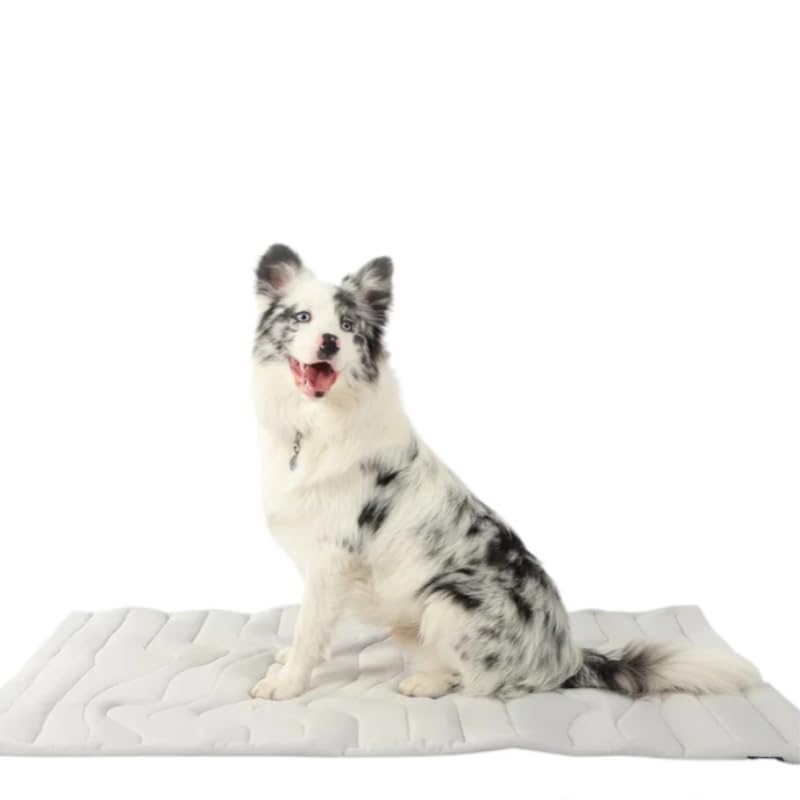 SWZEC Dr.Pfoten Pfotenchill Die Innovative Kühlmatte Für Hunde