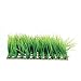 Underwater Treasures Hairgrass Mat - 10