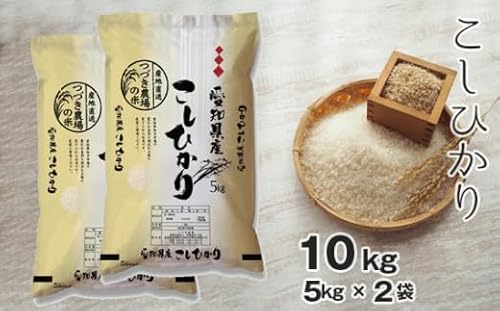 [白米] 令和7年産 つづき農場のコシヒカリ 10kg[No.091]/ ごはん 愛知県 阿久比町