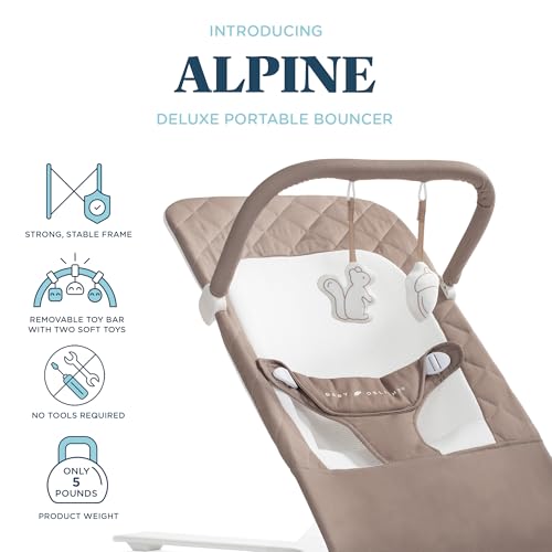 image for Baby Delight Alpine Deluxe Portable Baby Bouncer | Infant | 0-6 Months