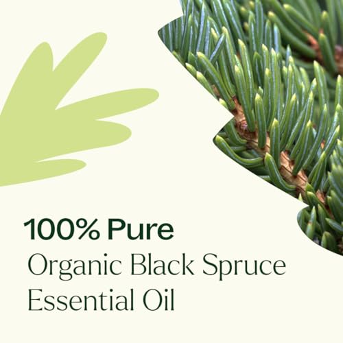Aceite esencial Black Spruce orgánico 10 mL Plant Therapy miniatura 5