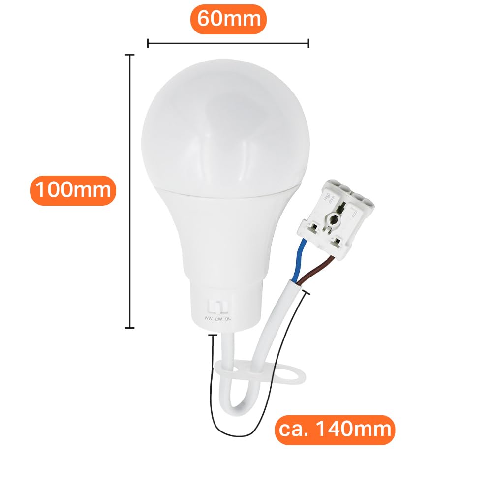 NCC-Licht 10 x lampa LED do renowacji 10 W, CCT regulowana barwa światła, wytrzymała obudowa z żarówką i zaciskiem wtykowym, oświetlenie robocze na strych i piwnicy
