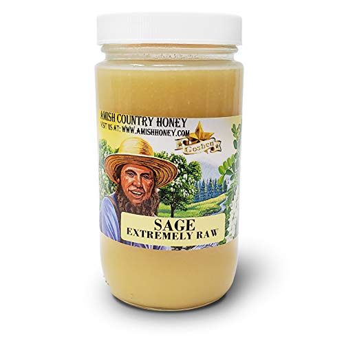Goshen Honey Amish Extremely Raw Sage Blossom Honey - 100% Natural Domestic Honey With Health Benefits - Unfiltered Unprocessed Unheated - Ou Kosher Certified | 1 Lb Glass Jar #TOP4