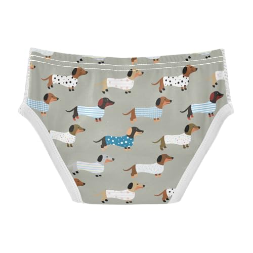 Boys' Exclusive Briefs Toddler Underwear 95% Combed Cotton Boxerbriefs 2T Cute Dachshund Pattern Dog 382