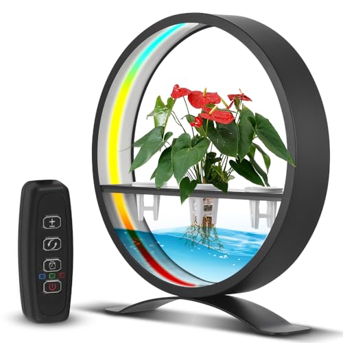 Caractéristique de l'eau d'intérieur HUIOP, le cadeau déco idéal avec LED