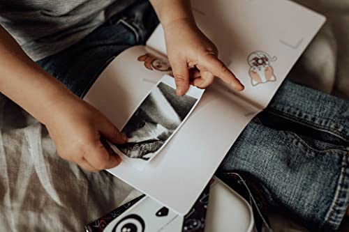 Image of Kidamento Instant Print Kids Camera Original BPA-Free BPS-Free Thermal Printing Paper Roll Refill Set 57mm 2 1 /4 Inch Width up to 300 Prints