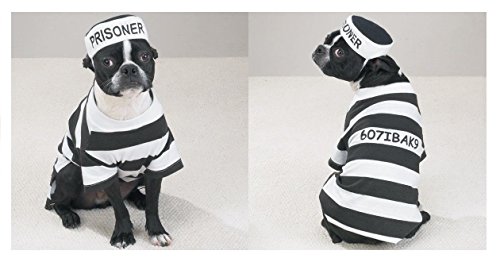 Disfraz Prisionero para Perros XSmall miniatura 6