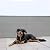 SUNNY GUARD 3'x10' Brown-Grey Balcony Privacy Screen Fence, Apartments Railing Screen, Heavy Duty Wind Block Screen for Outdoor,Porch,Patio,Deck Privacy?We Make Custom Sizes?
