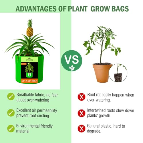 Image of Kingwell grow bags 15x15 inch pack of 20 Grow Bag For Terrace Garden Leafy Vegetable Plant Grow Bags Fruits Growing Containers For terrace Gardening