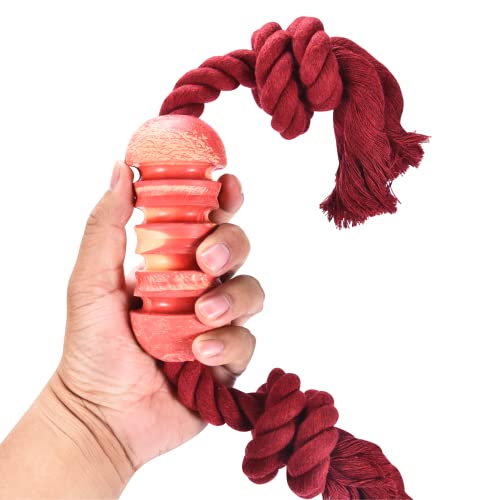 Alpine Choice Durable Chewers Toy For Aggressive Dogs With Rope - Indestructible Rope Dog Toys - Best Set For Heavy Duty Chewing And Interactive Play - Suitable Small Dogs And Puppies #TOP6