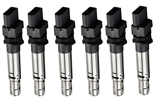 ENA Set of 6 Ignition Coils Pack 3.2L 3.6L V6 Compatible with Audi VW Volkswagen Porsche Q7 TT A3 Quattro Cayenne Passat EOS Golf Touareg Cayenne 2005 2006 2007 2008 Coils for C1466 UF531 022905715
