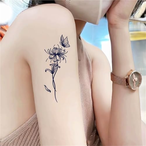 l̈ꎞIȓnA ފ݉ ^gD[V[ h  ivI rƋr̃V~[V jp tFCN^gD[