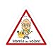 mamie au volant logo 284 autocollant adhésif sticker - Taille : 17 cm