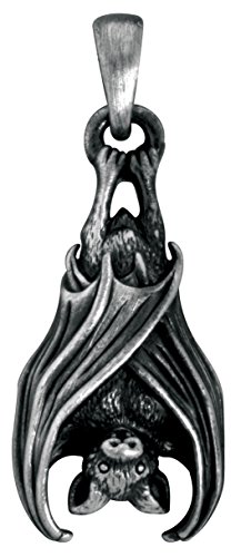 YTC Summit Gothic Vampire Bat Pendant Necklace Halloween Jewelry Accessory
