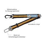 Kurgo Gurtschloss-Hundegurt fürs Auto, Kompatibel mit Tru-Fit Hundegeschirr, Von 38 cm auf 56 cm verlängerbar, Orange