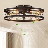 VOLISUN - Ventilador de techo enjaulado con luz y control remoto, ventiladores de techo sin aspas con luces para cocina