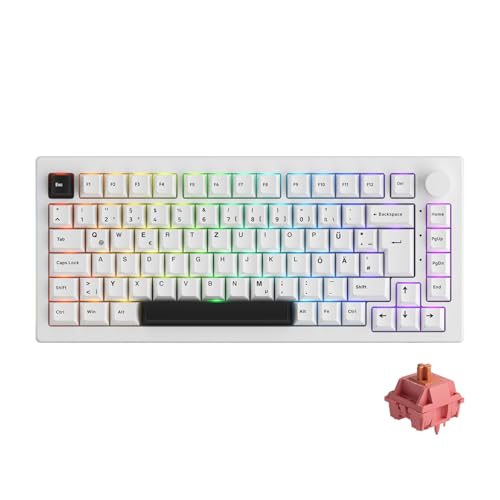 Akko 5075B Plus VIA Gaming-Tastatur, 2,4 GHz/BT5.0/kabelgebundene Tastatur mit Hot-Swap-fähigem Linearschalter, RGB, Dichtungshalterung, vierstufige Geräuschreduzierung (Schwarz auf Weiß, Ro