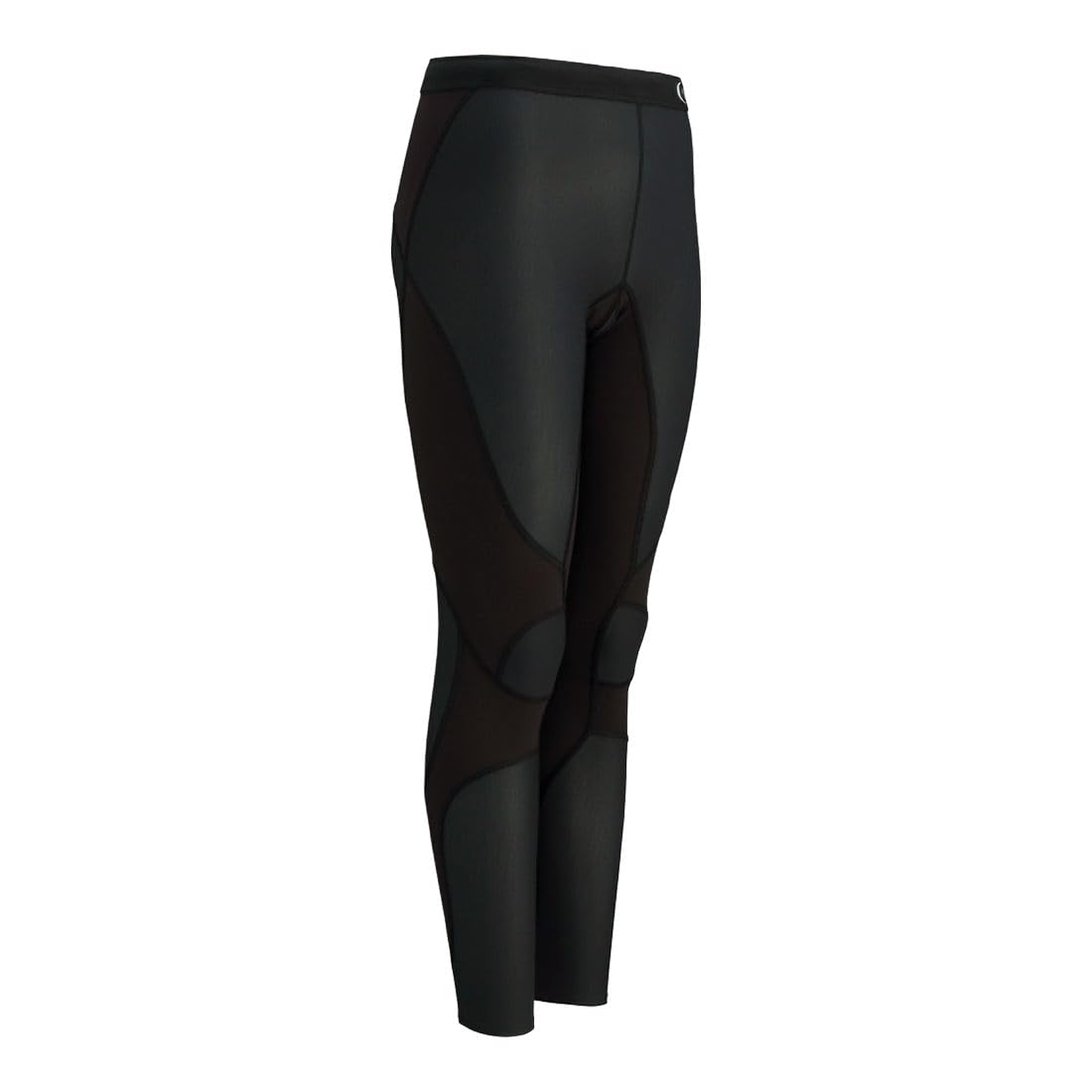 GOLDWIN) COMPRESSION LONG TIGHTS GCW03355 그레 4-Freehip.co.kr