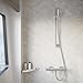 hansgrohe Ecostat Comfort - Duschthermostat Aufputz, Duscharmatur mit Sicherheitssperre (SafetyStop) bei 40° C, rundes Thermostat für die Dusche, Mischbatterie für 1 Verbraucher, Chrom, 13116000