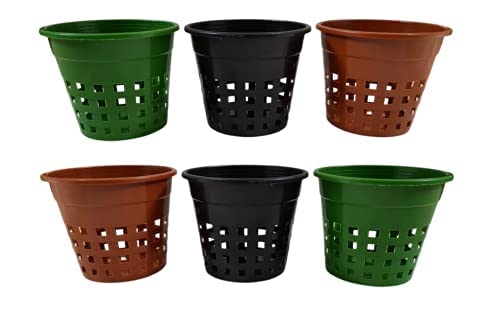 See full amazon price history chart for Agritech Plastic Orchid/Hydroponics Plant Pot, 6.5 Inch - Set of 10 Pieces (Multicolor, 10) Agritech Plastic Orchid/Hydroponics Plant Pot, 6.5 Inch - Set of 10 Pieces (Multicolor, 10) (B09MJJLB3D) Amazon Price History, Amazon Price Tracker
