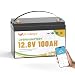 FLLYROWER Lithium 12V 100AH Lifepo4 Battery with Smart BMS for Trolling Motor RV Golf Cart Solar