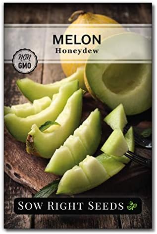 Sow Right Seeds - Green Honeydew Melon Seeds for Planting - Non-G...
