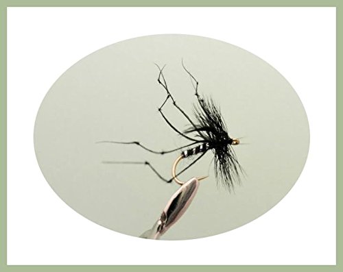 Black Daddy Long Legs trout Fly, 6 Pack, Size 10, For Fly Fishing, Trout Flies