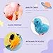 SAURAWAN 2-PCS Chicken Plush Wind Up Toys for Kids and Toddlers 1-3 2-4, Wind Up Easter for Easter Egg Fillers, Goody Bag Stuffer, Birthday Gifts - Soft Kawaii Baby Chick Toys