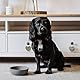 District 70 - Bamboo Dog Bowl - Grey - Medium