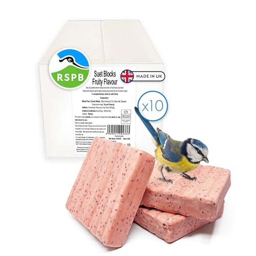 RSPB - Suet Blocks for Wild Birds Wild Bird Food with Premium Ingredients Made in the UK Healthy and Nutritious Suitable for Year-Round Feeding (Fruity Flavour) (10 x 280g)
