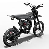 Riding'times GT54PRO Electric Motorcycle for Teens Adults 40MPH, 60V 25AH Electric Dirt Bike, 338NM (GT54PRO-60V 25AH 3000W)