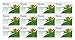 Himalaya Purifying Neem & Turmeric Cleansing Bar (12 PACK) for Clean and Healthy Looking Skin, 4.41 Oz/125 gm