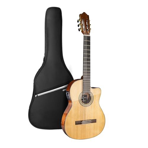 WishMade Thin Body Acoustic Electric Guitar 39 Inch Classical Nylon String Guitar for Beginner...