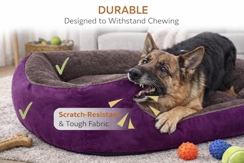 Image of SITSNOOZE Dog Beds Dogs & Cats, Rectangle Washable Pet Bed Comfortable and Breathable Pet Sofa Warming Orthopedic and Non-Skid Bottom (Reversible) (Brown & Purple, M)