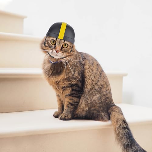 NAMSAN Haustierhelm Hund Motorradhelm Fahrradmütze Verstellbarer Kinnriemen Hundehelm Geeignet für kleine Hunde - Größe M Schwarz