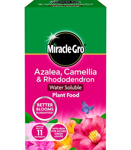 1kg Premium Water Soluble Plant Food for Roses, Orchids, Azaleas, Camellias & Rhododendrons - High-Performance Blend for Vibrant Blooms and Healthy Growth of Roses and Flowering Plants