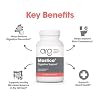 Allergy Research Group ARG Mastica Digestive Support - Supports Digestive Comfort - Delivers 1000 mg Chios Mastic Gum Resin per Serving - Vegetarian & Hypoallergenic - 60 Servings - 120 Capsules