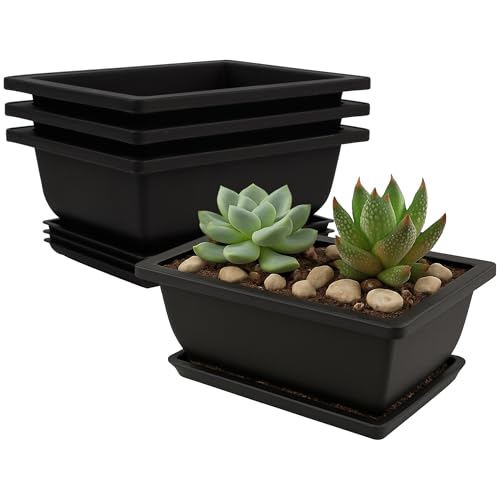 C CRYSTAL LEMON Bonsai Training Pots with Drip Trays, 3-Pack, Compact Plastic Planters with Drainage...