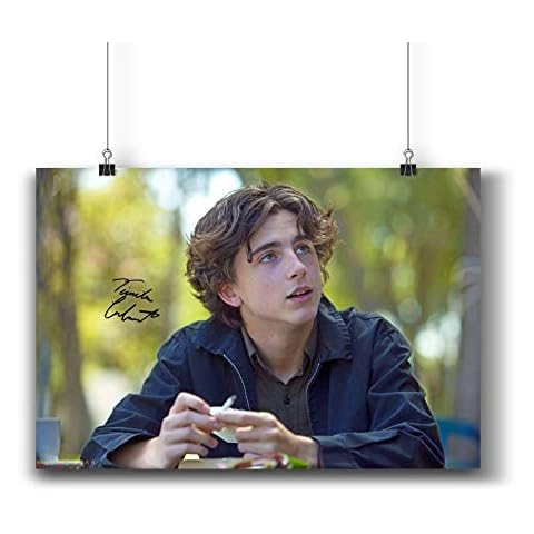 Pentagonwork Lady Bird Movie Poster Casts Signed Reprint 11.7x16.5 A3 Prints w/Stickers 2017 Film, Timothée Chalamet Kyle Scheible Autographed, 1138-004 Cover