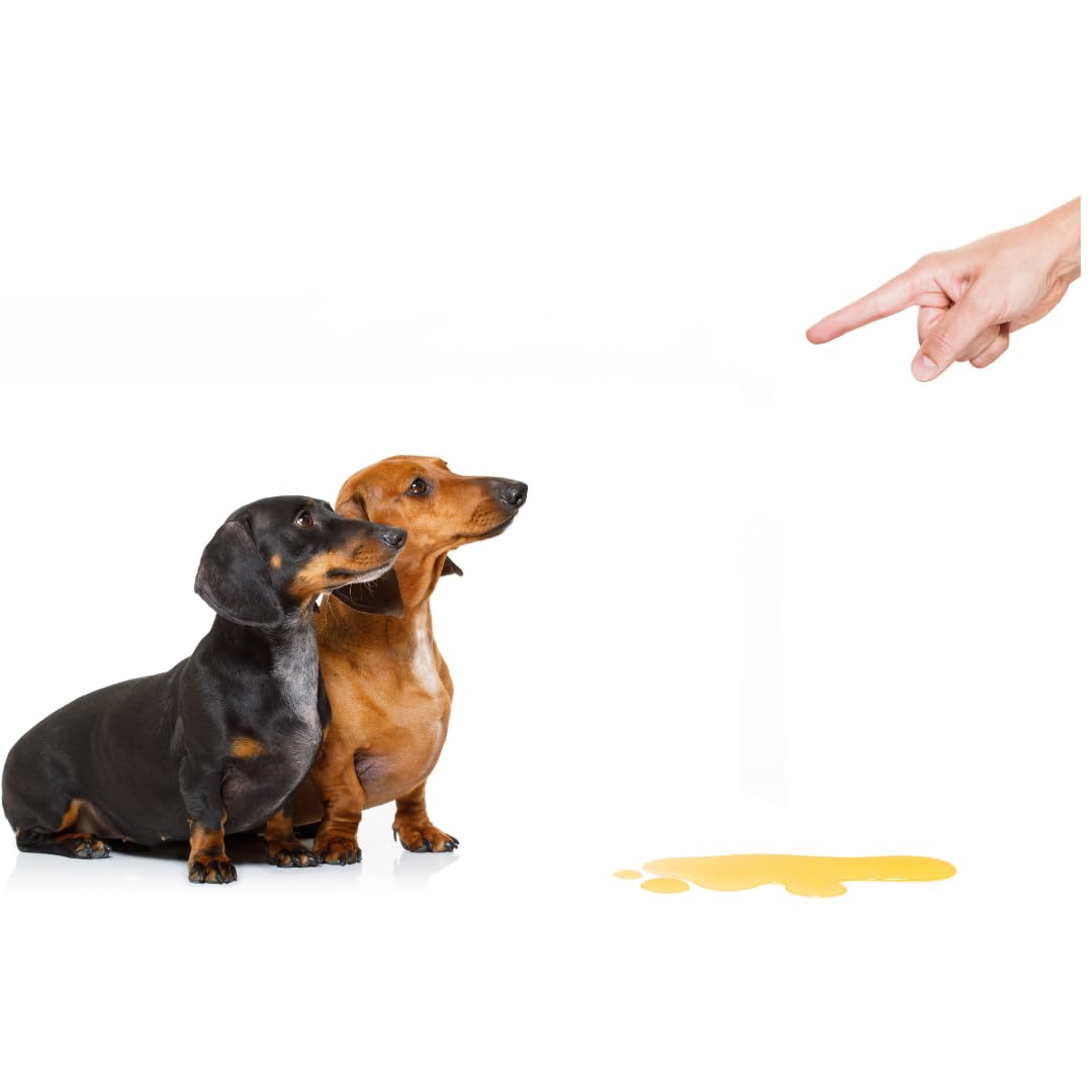 1X750 ml Anti orines Repelente ahuyentador de Perros y Gatos educador contra orin Perros para Perros Gatos ecológico deshabituante Stop orines contra los Malos hábitos de orinar