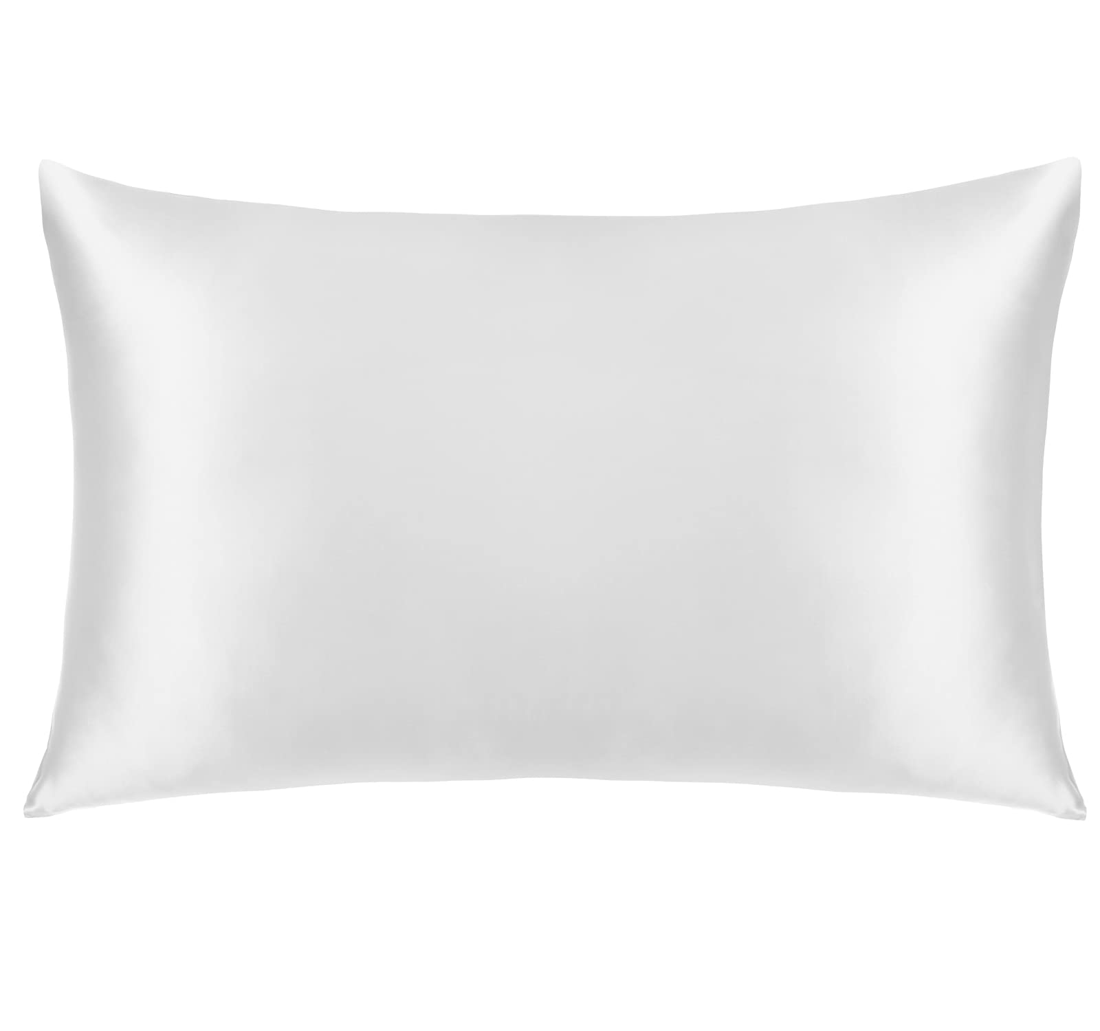 Natural 100% Silk Pillowcase for Hair & Skin, Hidden Zipper, Cool 22 Momme Mulberry Silk, Both Side, Soft & Breathable, Machine Washable (King, Pure White)