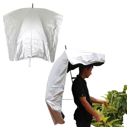 [U@j@i@e@d@h@v@f] wP Xq  ԂP _Ƃ wP P nYt[ 